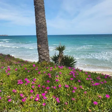 Casa Magdalenka, Mil Palmeras Area, 800 M To The Sea Communal Swimming Pool 別荘